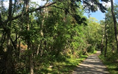 14184517_1083070885075616_6447512793200256744_n 14184517_1083070885075616_6447512793200256744_n