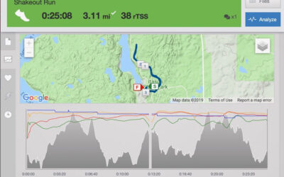 UNADJUSTEDNONRAW_thumb_4a