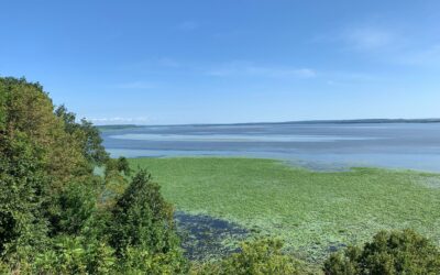 68390881_2374830392633809_8993126558172446720_o 68390881_2374830392633809_8993126558172446720_o