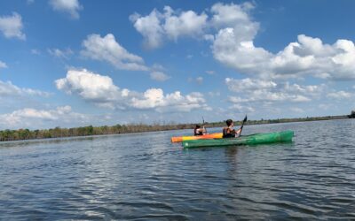 68773619_2384883738295141_1636814025075458048_o 68773619_2384883738295141_1636814025075458048_o