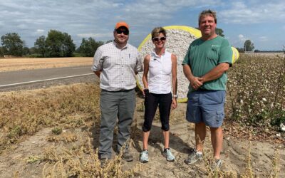 72142124_24569730877_ULNhh 72142124_24569730877_ULNhh