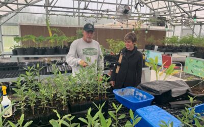 78348349_26090654725_RX7p7 78348349_26090654725_RX7p7