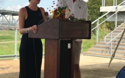 78574834_25915125509_KLGfG 78574834_25915125509_KLGfG