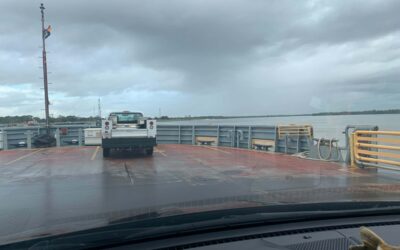 79419378_26157365252_MfAtX 79419378_26157365252_MfAtX